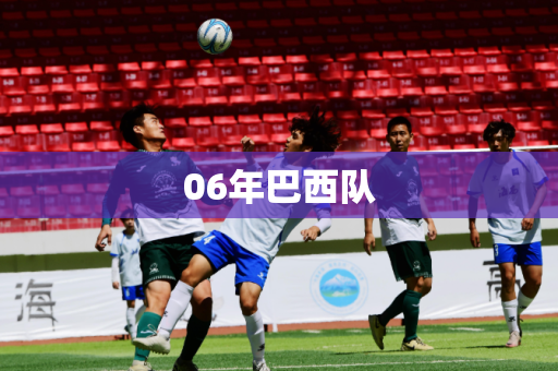 06年巴西队