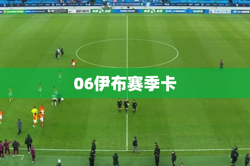 06伊布赛季卡
