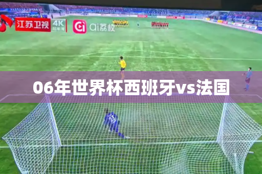 06年世界杯西班牙vs法国 06年世界杯西班牙vs法国