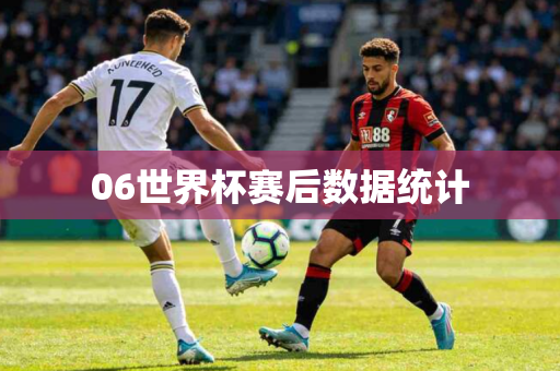 06世界杯赛后数据统计