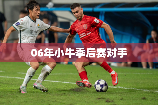 06年小牛季后赛对手 06年小牛季后赛对手