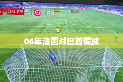 06年法国对巴西假球