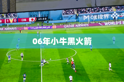 06年小牛黑火箭