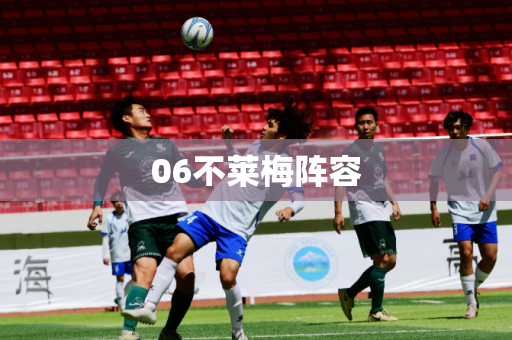 06不莱梅阵容 06不莱梅阵容