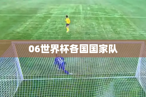 06世界杯各国国家队