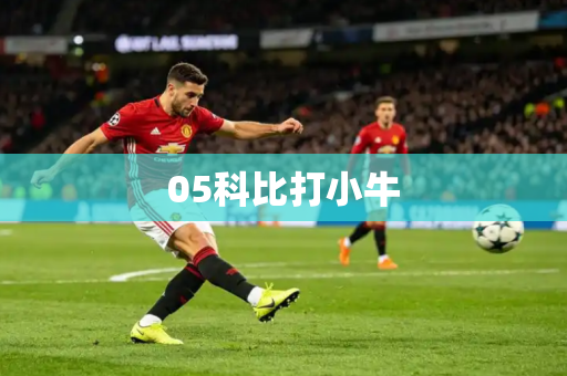 05科比打小牛