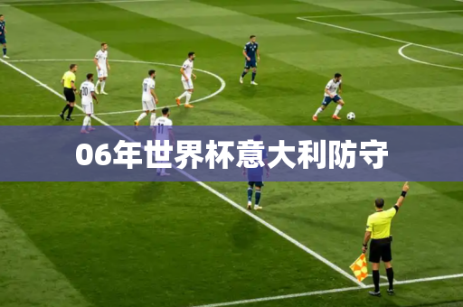 06年世界杯意大利防守