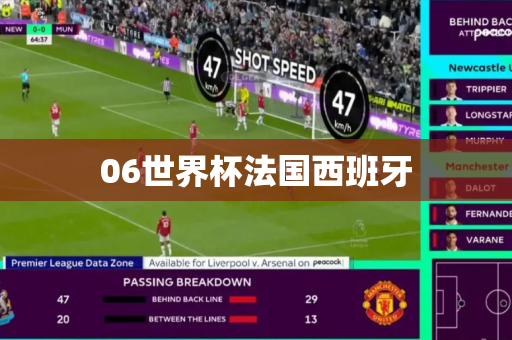 06世界杯法国西班牙