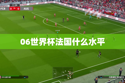 06世界杯法国什么水平