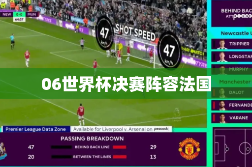 06世界杯决赛阵容法国 06世界杯决赛阵容法国
