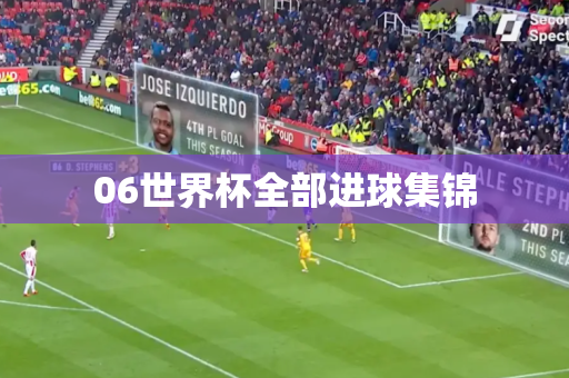 06世界杯全部进球集锦