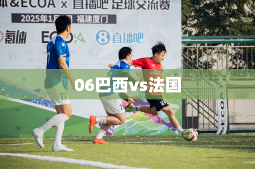06巴西vs法国 06巴西vs法国