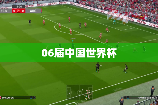 06届中国世界杯