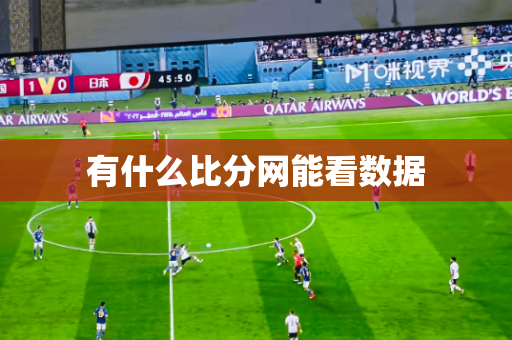 有什么比分网能看数据 有什么比分网能看数据
