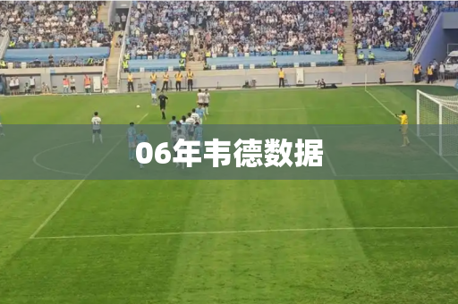 06年韦德数据 06年韦德数据