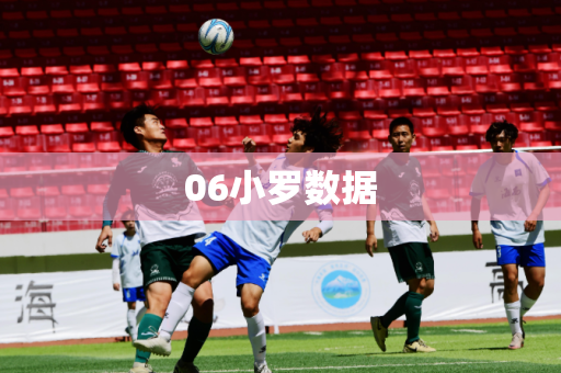 06小罗数据 06小罗数据