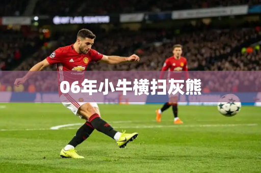 06年小牛横扫灰熊
