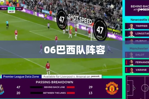 06巴西队阵容