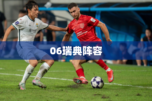 06瑞典阵容 06瑞典阵容