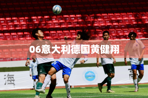 06意大利德国黄健翔 06意大利德国黄健翔
