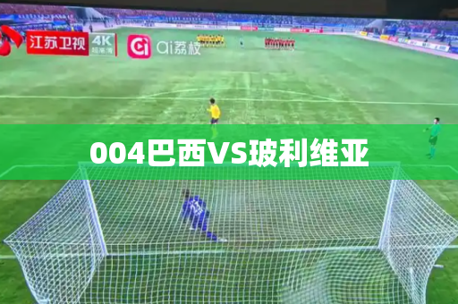 004巴西VS玻利维亚 004巴西VS玻利维亚