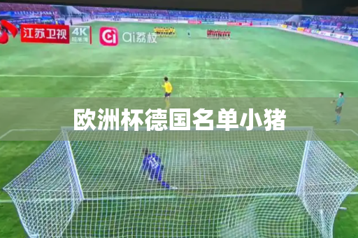 欧洲杯德国名单小猪