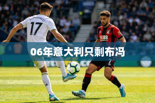 06年意大利只剩布冯 06年意大利只剩布冯