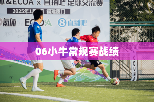 06小牛常规赛战绩