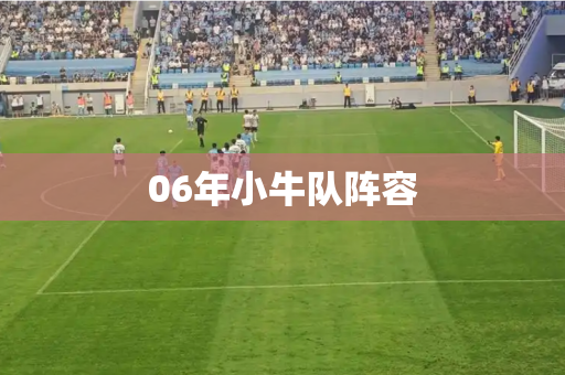 06年小牛队阵容 06年小牛队阵容