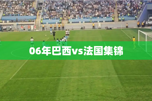 06年巴西vs法国集锦