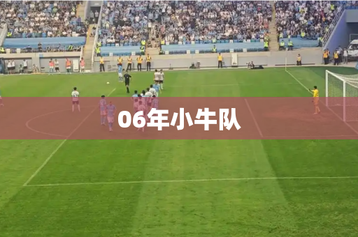 06年小牛队