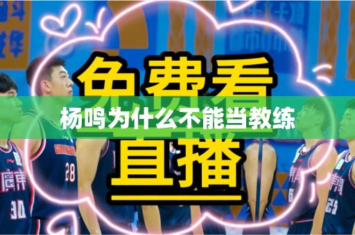 杨鸣为什么不能当教练 杨鸣为什么不能当教练
