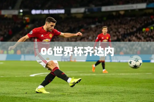 06世界杯齐达内 06世界杯齐达内