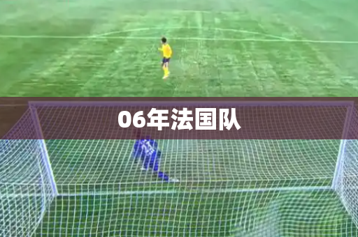 06年法国队 06年法国队