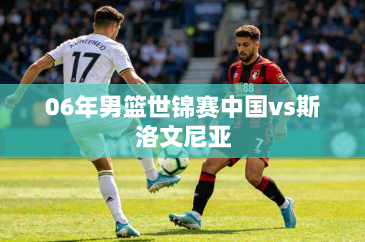 06年男篮世锦赛中国vs斯洛文尼亚 06年男篮世锦赛中国vs斯洛文尼亚