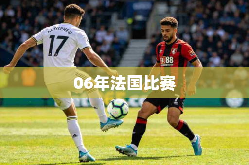 06年法国比赛 06年法国比赛