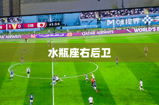 水瓶座右后卫 水瓶座右后卫