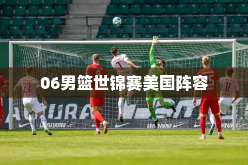 06男篮世锦赛美国阵容