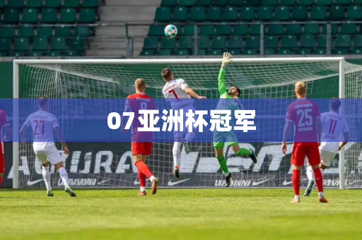 07亚洲杯冠军