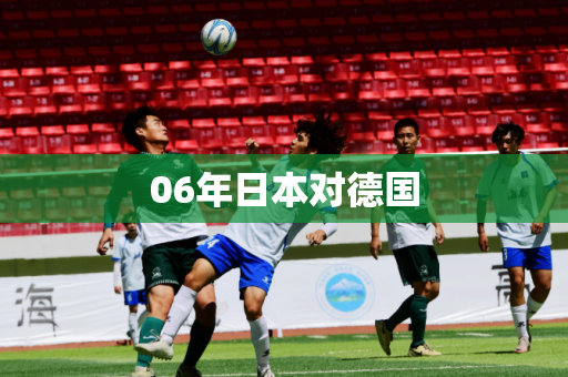 06年日本对德国 06年日本对德国