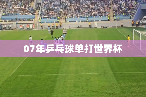 07年乒乓球单打世界杯