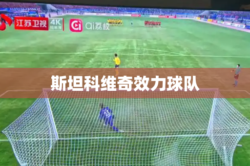 斯坦科维奇效力球队
