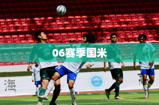 06赛季国米