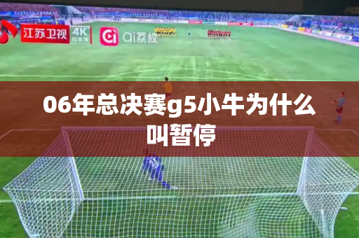 06年总决赛g5小牛为什么叫暂停