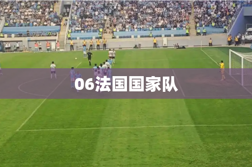 06法国国家队 06法国国家队