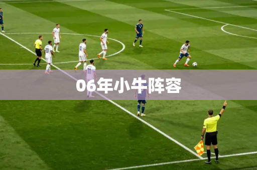 06年小牛阵容