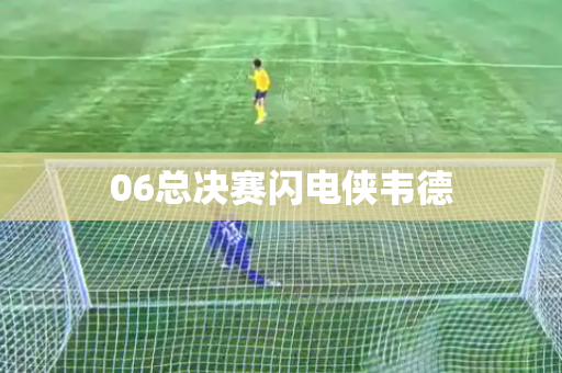 06总决赛闪电侠韦德 06总决赛闪电侠韦德