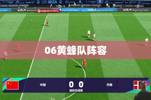 06黄蜂队阵容