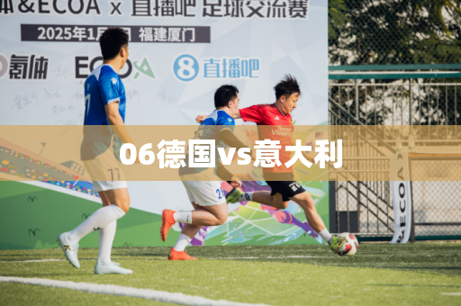 06德国vs意大利 06德国vs意大利