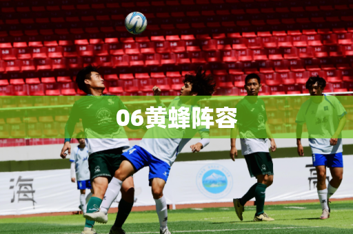 06黄蜂阵容 06黄蜂阵容